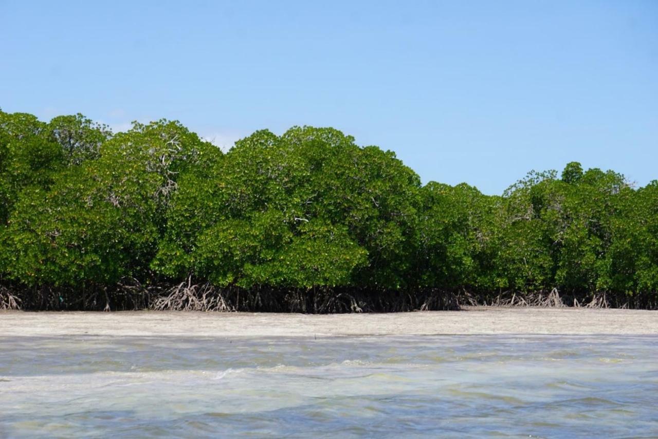 Mida Creek Nature Camp Watamu Exterior photo