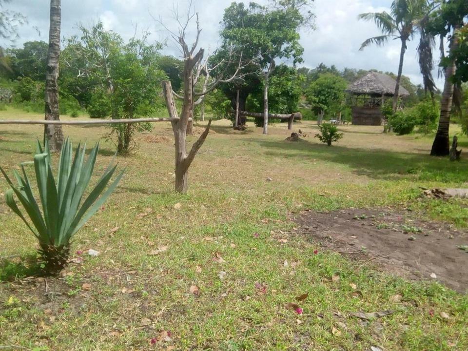 Mida Creek Nature Camp Watamu Exterior photo