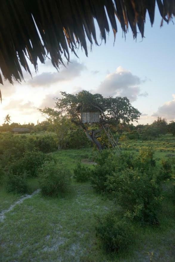 Mida Creek Nature Camp Watamu Exterior photo