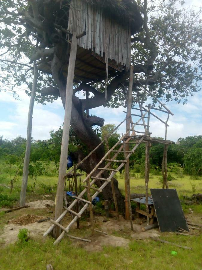 Mida Creek Nature Camp Watamu Exterior photo